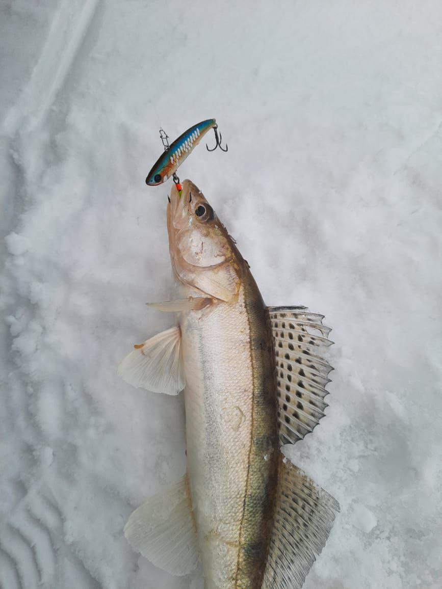 photo 5366404367994523017 y