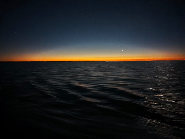 На крупных озерах Новосибирской области завершены ихтиологические исследования