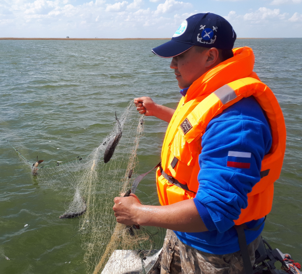 Сотрудниками Новосибирского филиала проведен мониторинг воспроизводства рыб на оз. Чаны